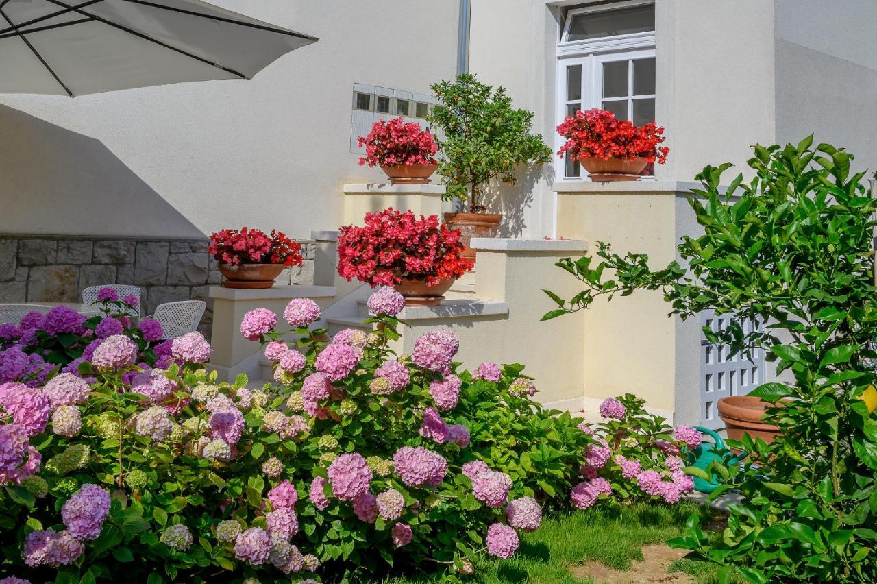 Palace Schoen Milesi - Esense Of Prestige - Private Pool - Free Parking - Old Money Style Luxury Rooms - Walking Distance To The Old Town, The Beach And All Amenities - Buralux Properties Split Zewnętrze zdjęcie